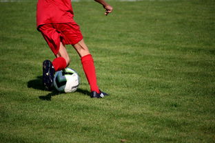 AYX SPORTS-足球场馆数字化管理平台正式上线，提升运营效率，足球场管理系统app